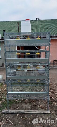 Клетки для перепелов с поддонами для помёта(Новые)