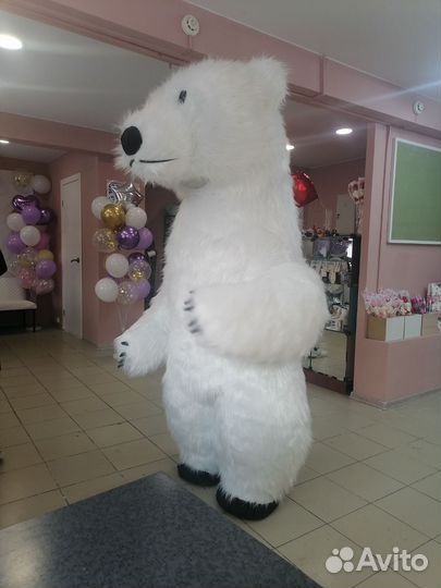 Ростовой медведь на день рождения