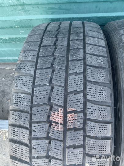 Dunlop Winter Maxx WM01 225/45 R17 91Q