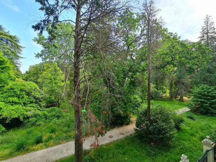 Квартира-студия, 30 м², 2/7 эт.