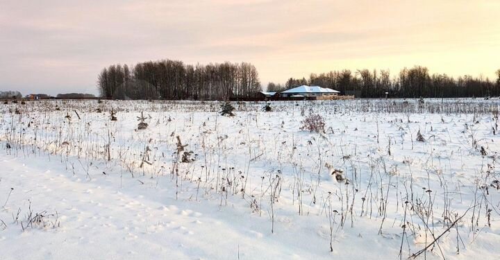 Участок 12,9 сот. (СНТ, ДНП)