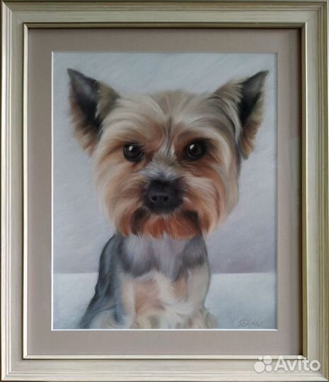 Рисунки вашего питомца на заказ