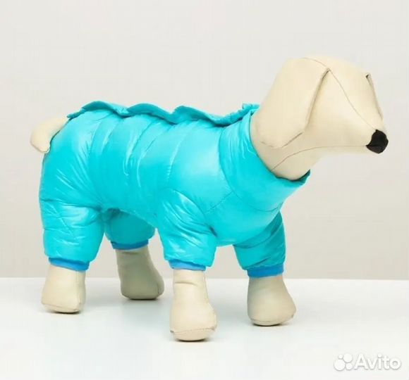 Одежда для собак