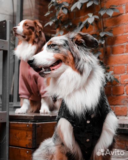 Услуги фотографа