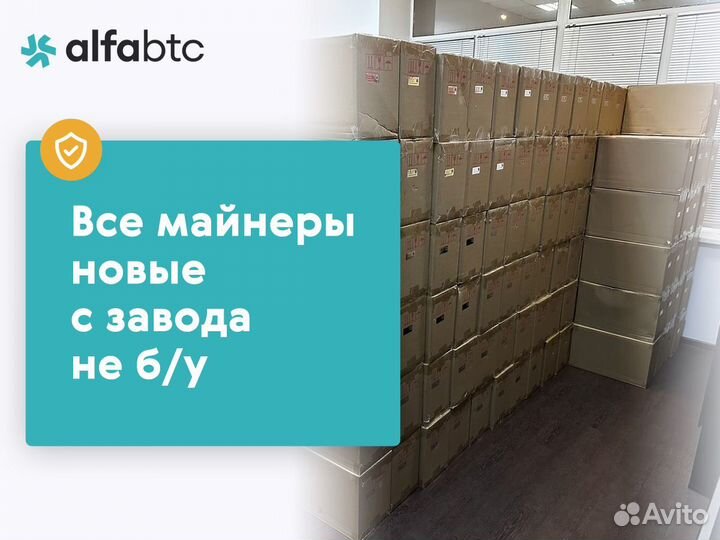 Asic майнер Elphapex DG1 11G