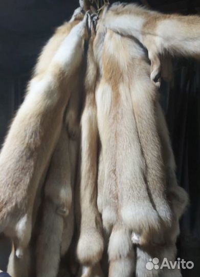Шкуры лисы