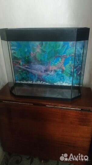 Аквариум