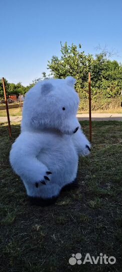 Поздравление аниматора Белый Мишка