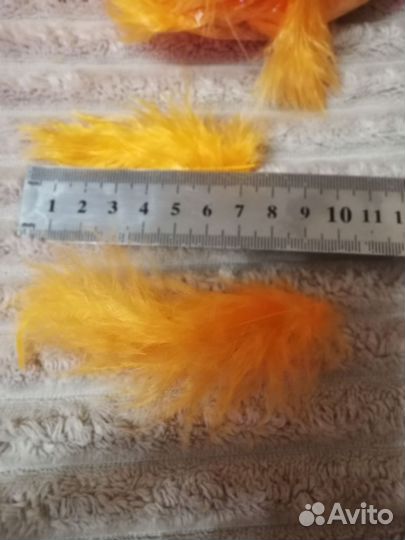 Перья для творчества