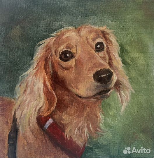 Портет питомца