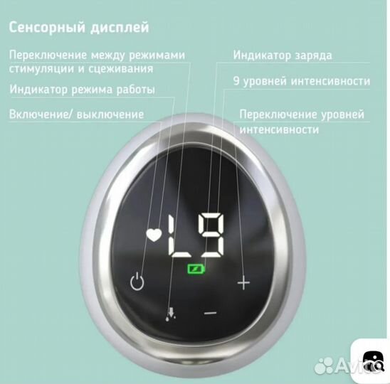 Молокоотсос электронный