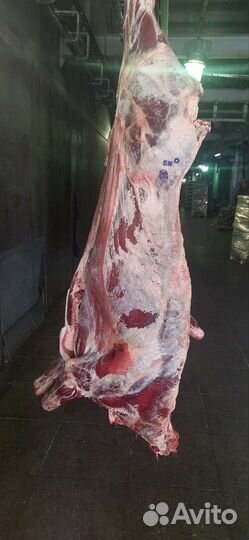 Говядина 1 кат. коровы в п/т, зам. Только оптом