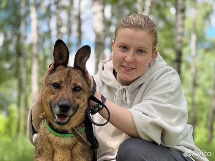 Никто не приходит