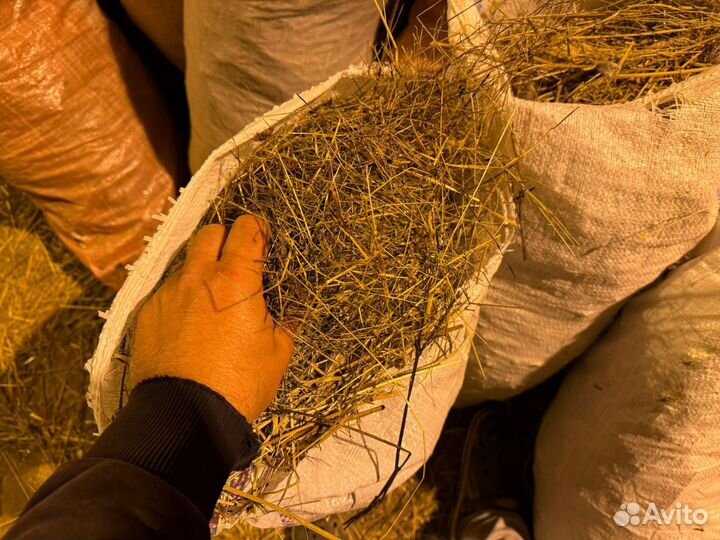 Сено в мешках