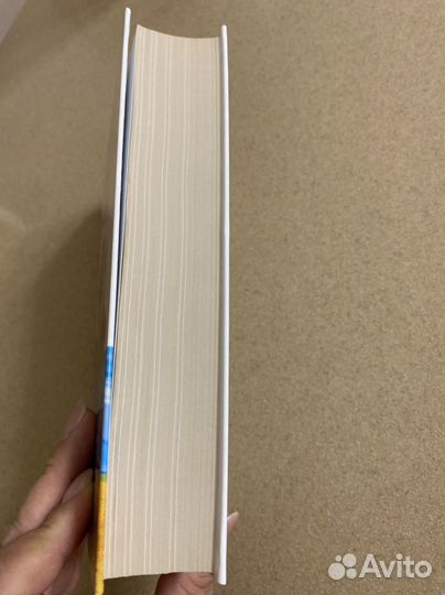 Приключения тома сойера и гекльберри финна