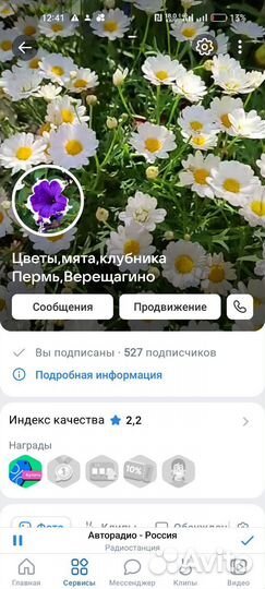 Хедера, плющ 15 сортов