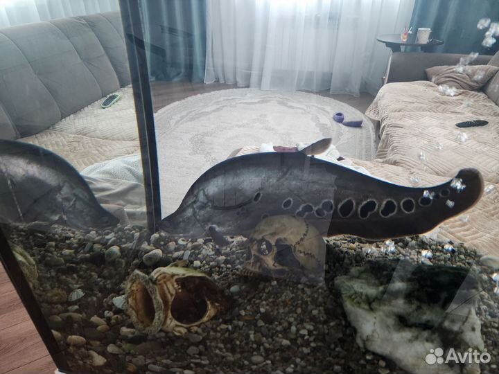 Индийский нож