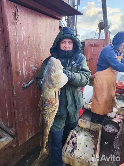 Туристические туры на Баренцевом море