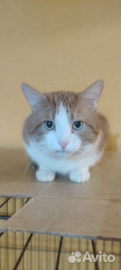 Марик - мужчина что надо