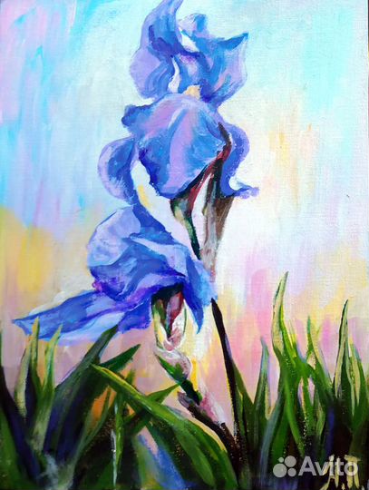 Картины Ирисы холст на картоне акрил 30 х 40 см