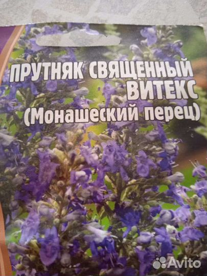 Прутняк священный