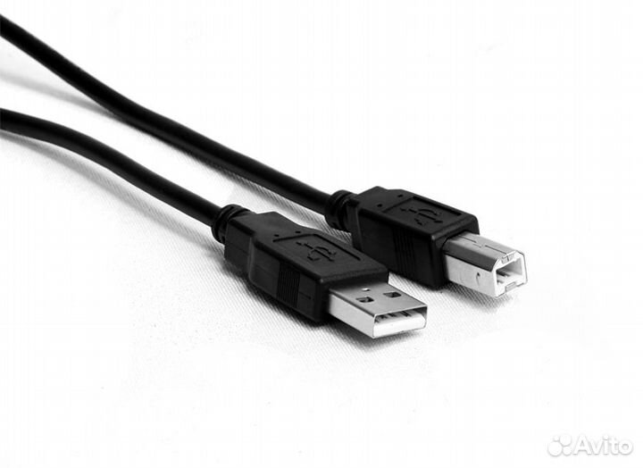 Кабель krauler USB2.0 - AmBm, 5.0м, блистер