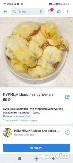 Суточные цыплята на корм животным