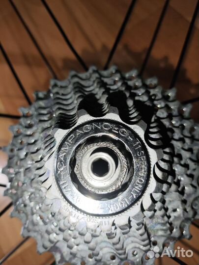 Колесо campagnolo