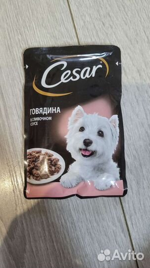 Корм для собак