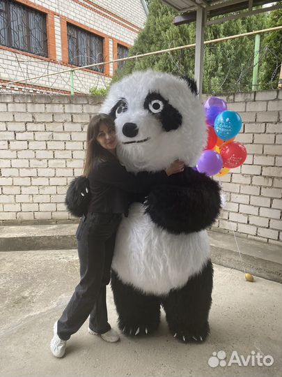 Аниматор/ зажигательная панда