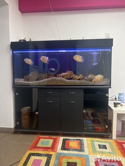 Аквариум с тумбой