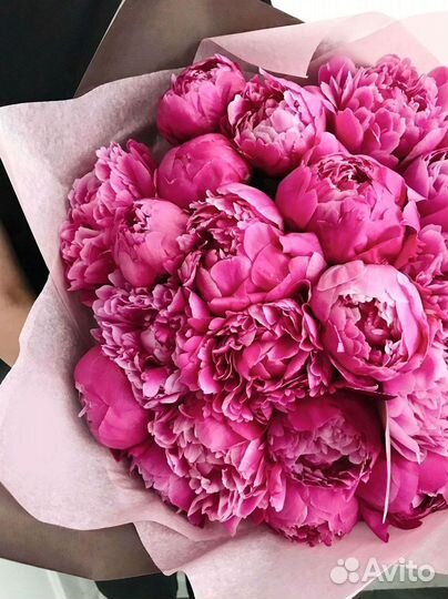 Пионы Букет пионов Доставка цветов