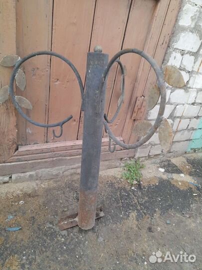 Цветошница металлическая