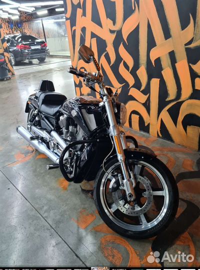 Harley-Davidson V-rod muscle 2013
