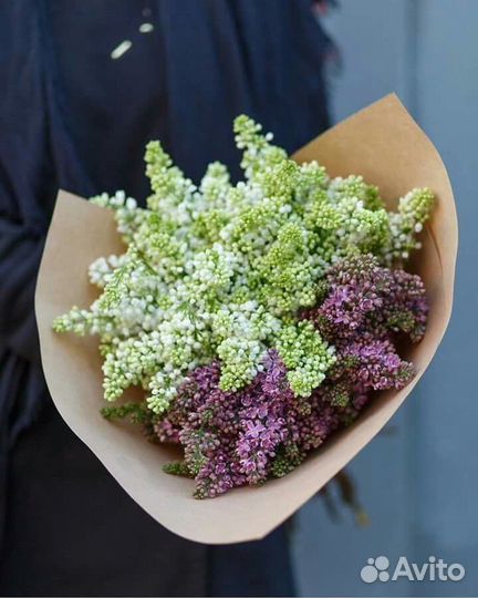 Сирень Букеты из Сирени с доставкой 24/7