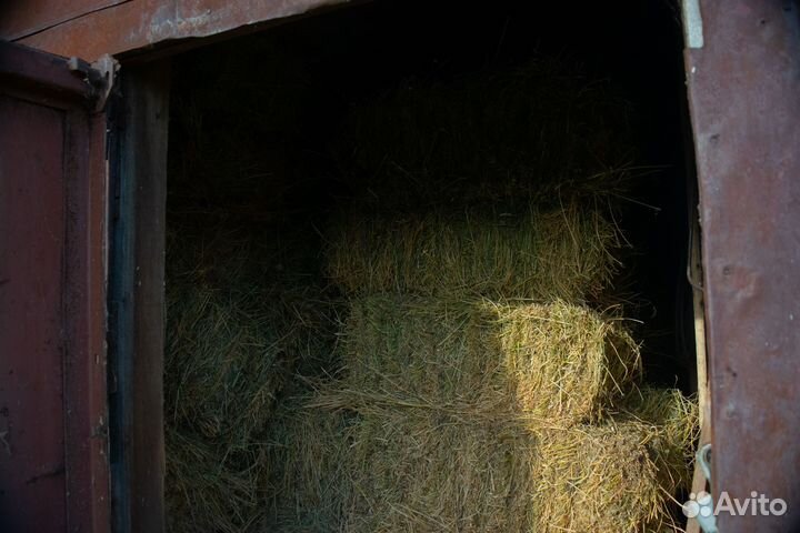 Сено в тюках
