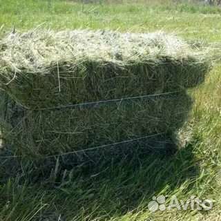 Сено в тюках