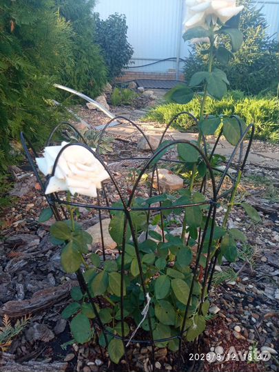 Кустодержатель опора подставка для садовых цветов