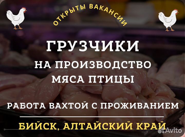 Грузчики на завод / Вахта с проживанием / Бийск