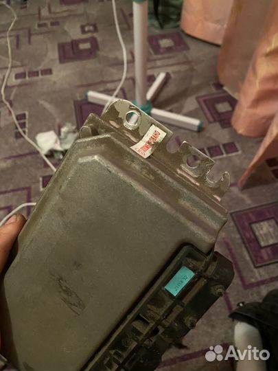 Продам эбу мозги 