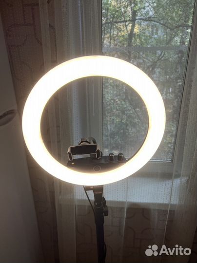 Светодиодная кольцевая лампа со штативом