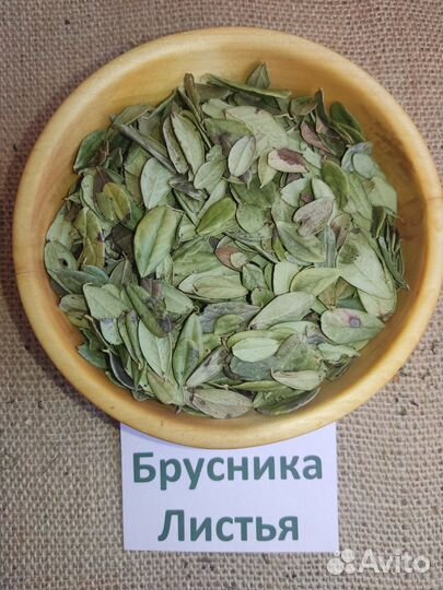 Листья брусники