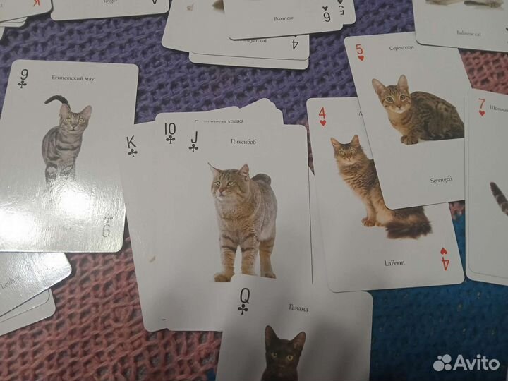 Игральные карты сувенирные Кошки России