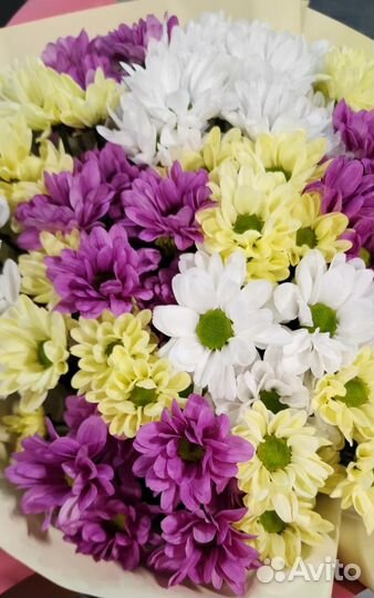Цветы хризантемы, доставка