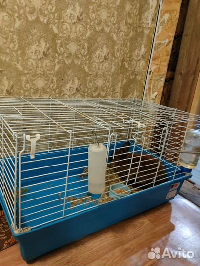 Клетка для грызунов большая