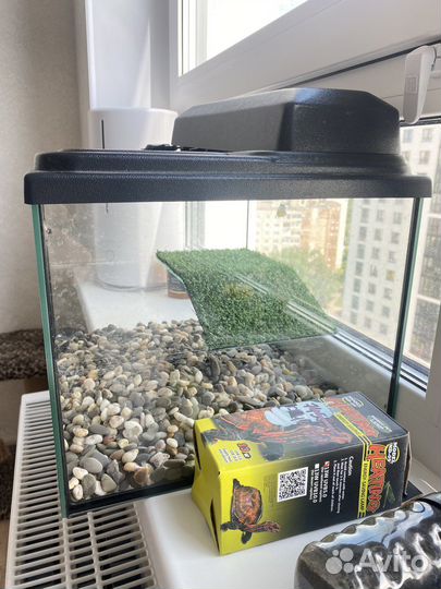 Аквариум терариум