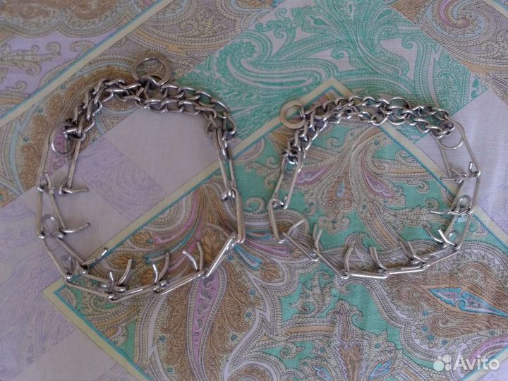 Строгий ошейник