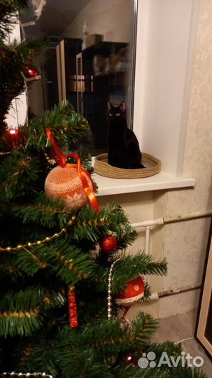 Лежанка для кошек (собачек) Джут (заказ)