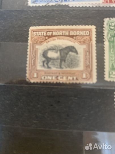 Северное Борнео брит колонии