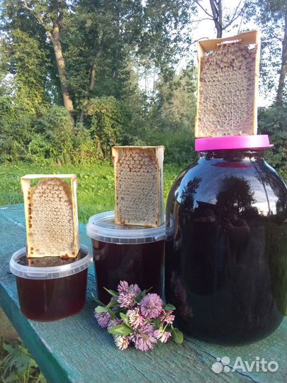 Мёд луговое разнотравье